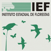 IEF.png